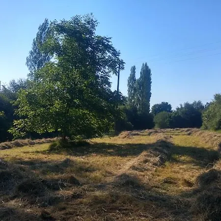 L'angeberdiere Country house Saint-Mars-sur-la-Futaie