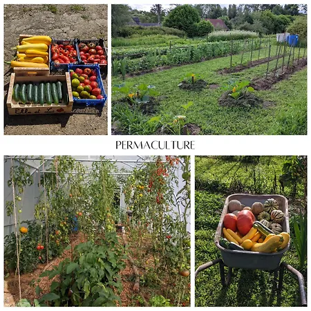 L'angeberdiere Saint-Mars-sur-la-Futaie